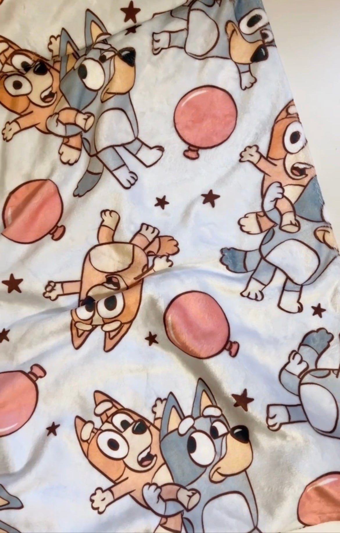 Made to Order Minky Blanket -Dog Ballons